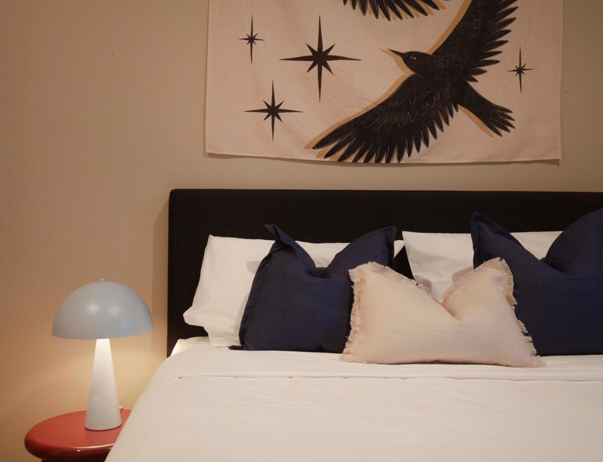 Hostel Little Drifter Canberra